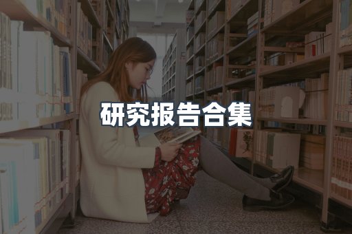 研究报告合集